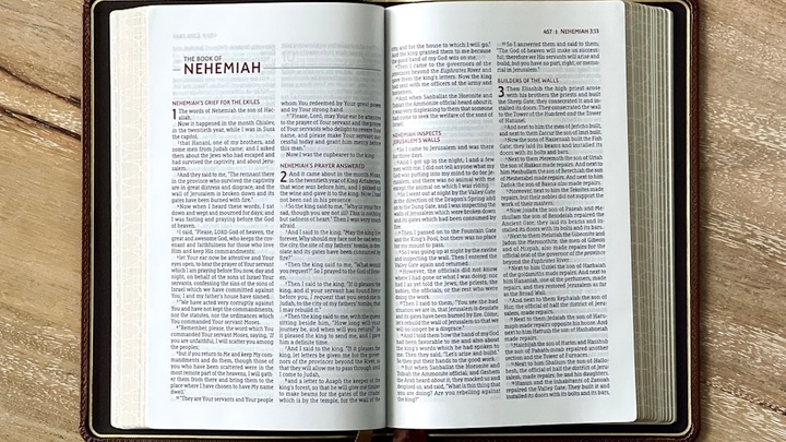 Intro to Bible logo