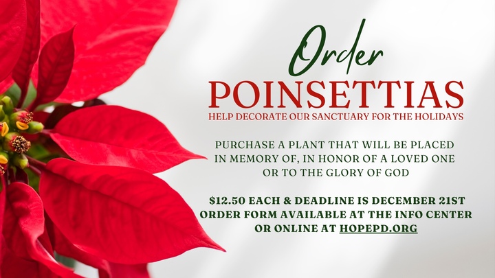 Order Poinsettias logo