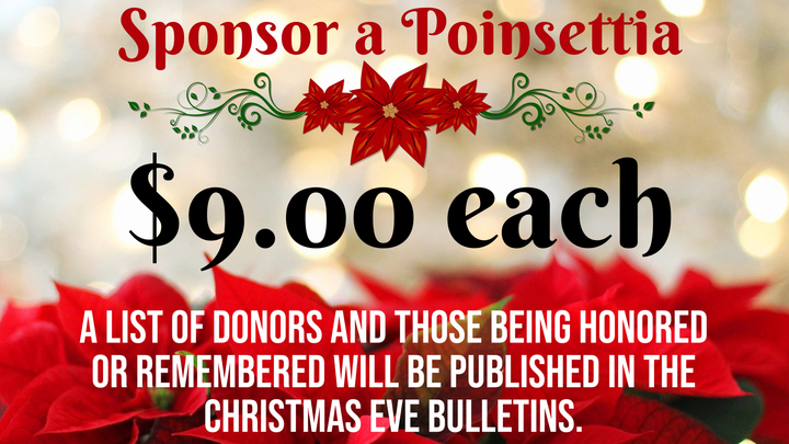 Sponsor a Poinsettia 2025 (449) logo