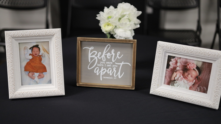 Saline County Baby Dedication  logo