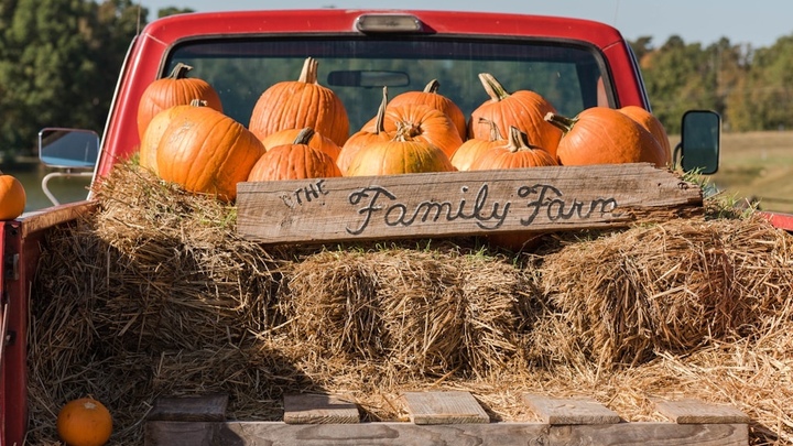 Wednesday Night Family Hayride Caroling logo