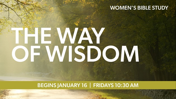 Friday Women's Bible Study - The Way of Wisdom logo