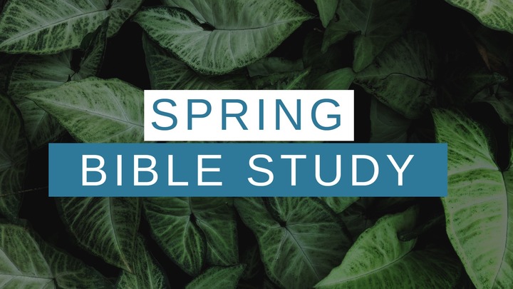 Winter/Spring 2026 Bible Studies logo