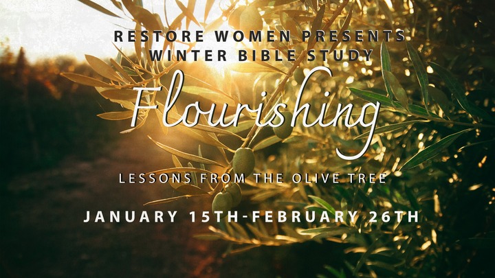 Restore Women's Winter Bible Study logo