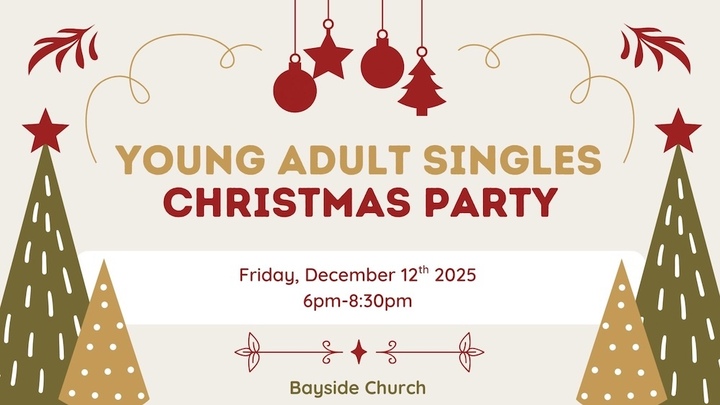 Young Adult Singles Christmas Party logo