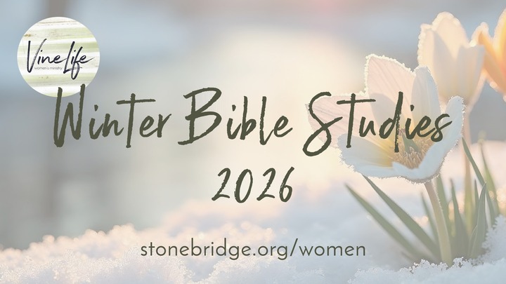 VineLife Women's Winter Bible Studies logo