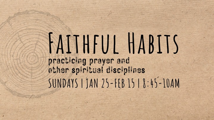 Faithful Habits logo