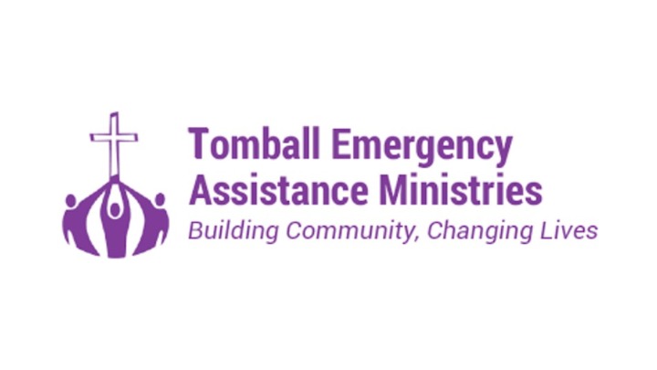 T.E.A.M. Christmas logo