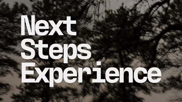 February 2026 Next Steps Experience logo