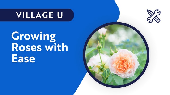 Growing Roses with Ease logo