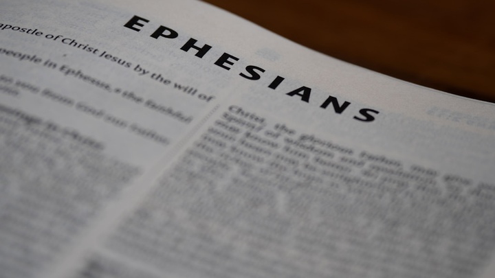 WBS Spring 2026: Included in Christ: Living a New Story from Ephesians logo