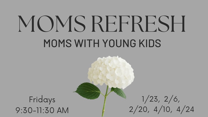 MOMS Refresh logo