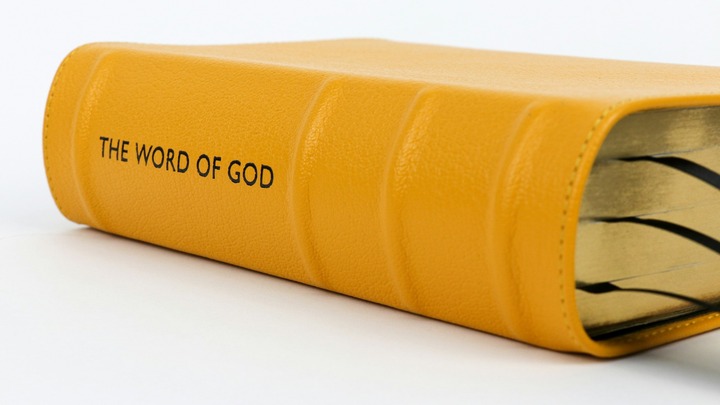 Bible Reading Plan logo