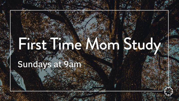 First Time Mom Study - Winter 2026 logo