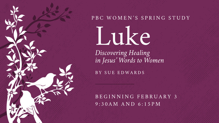 Women's Spring Bible Study - "Luke: Discovering Healing in Jesus' Words to Women" logo
