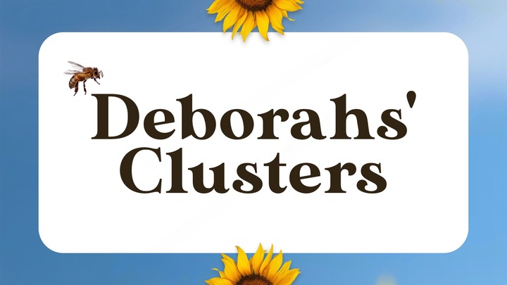 Deborahs' Clusters logo