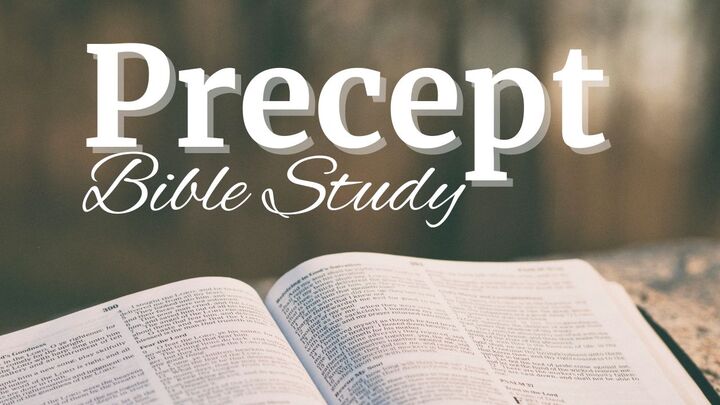 Precept Bible Study: Dig Into Genesis logo