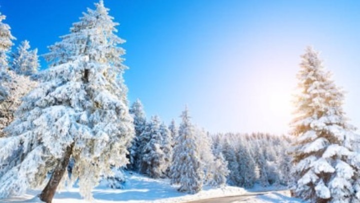 2026 Winter Thrive logo