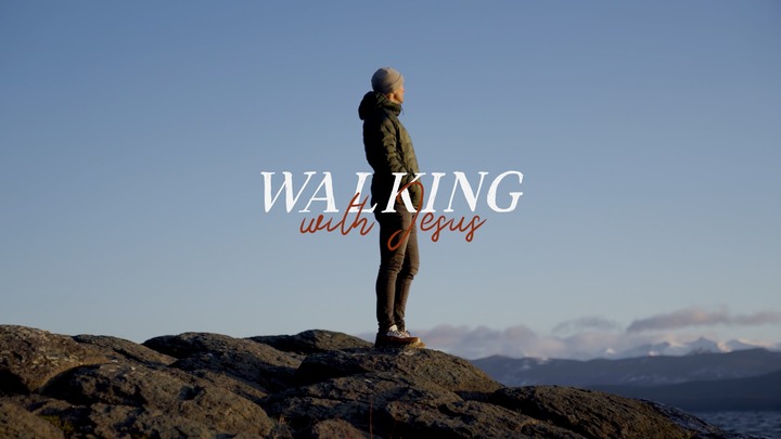 Walking Through the New Testament logo