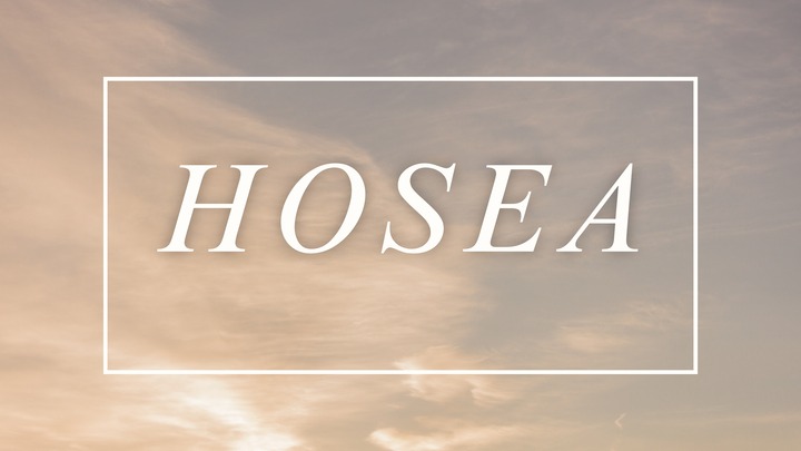 Early Morning Women's Bible Study logo