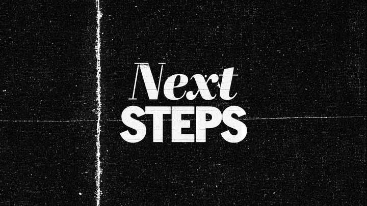 Next Steps - North logo