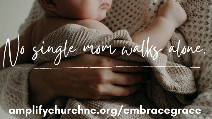 Embrace Grace & Life | Willow Spring Campus logo