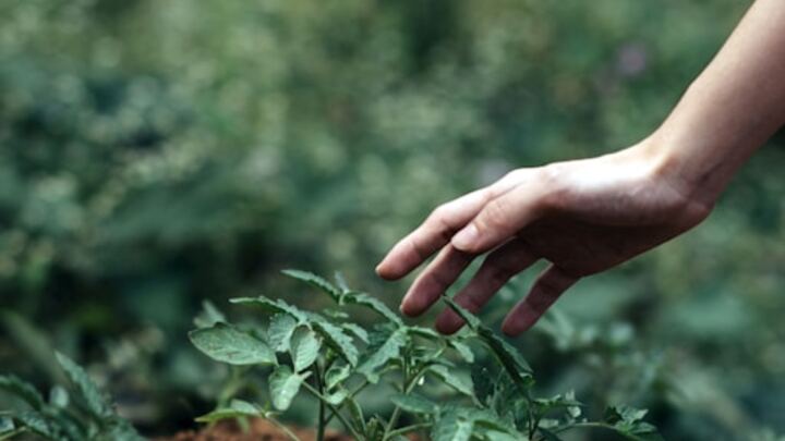 Encounter Awaken logo