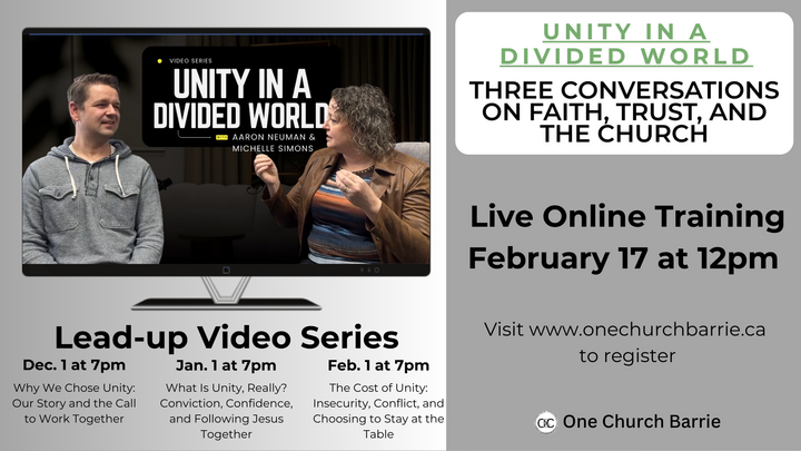 Unity in a Divided World - Online Training logo