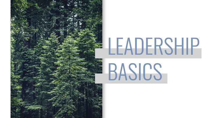 Leadership Basics | Community Group Shepherds Training logo image