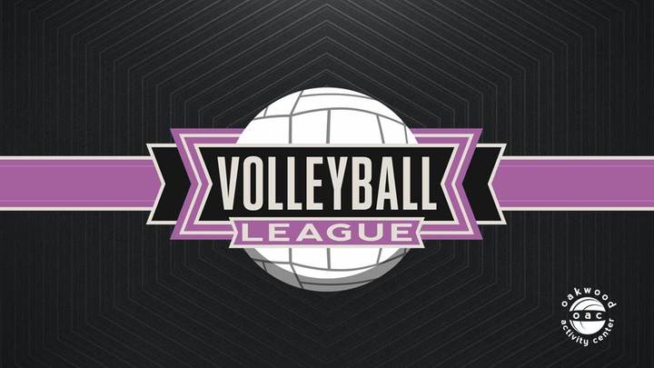 Girls Volleyball League logo image