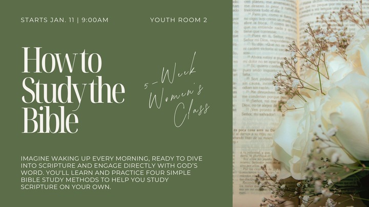 How To Study The Bible logo