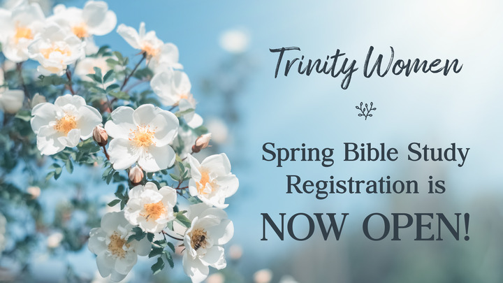 Women's Spring Bible Studies logo