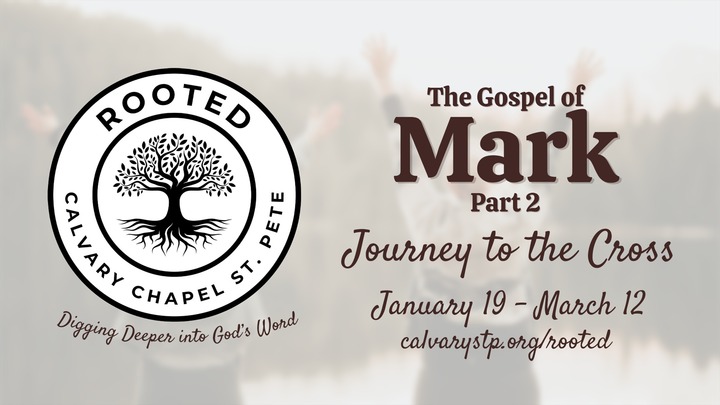 Rooted Ladies Bible Study in Mark logo