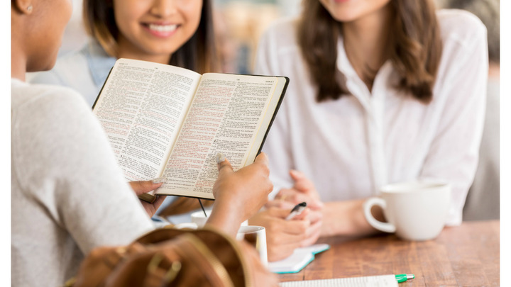 Vision Girls Bible Study logo