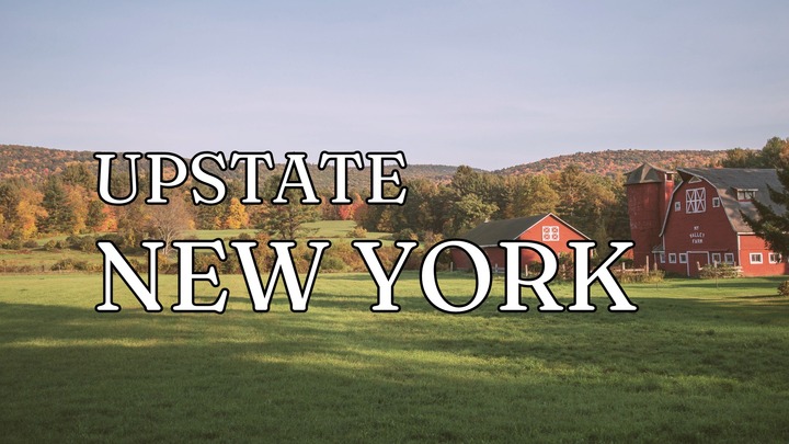 Upstate New York Women #3 logo