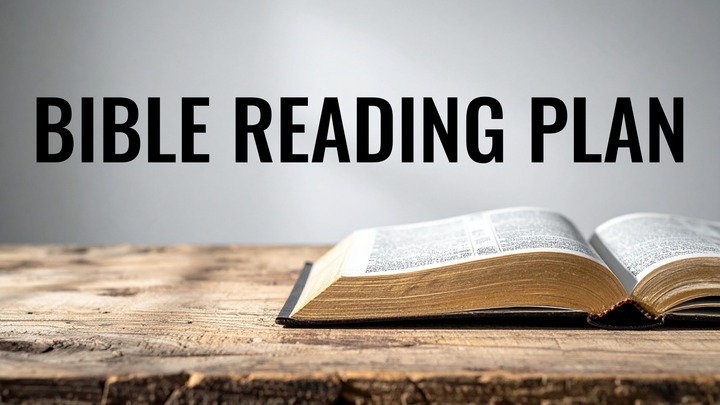 Bible Reading Plan logo