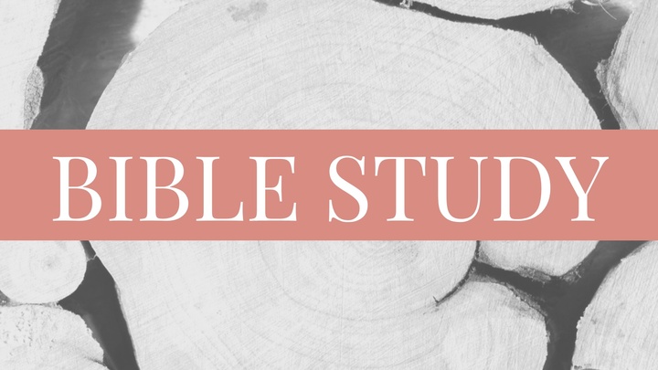 Spring Tuesday Evening Bible Study logo