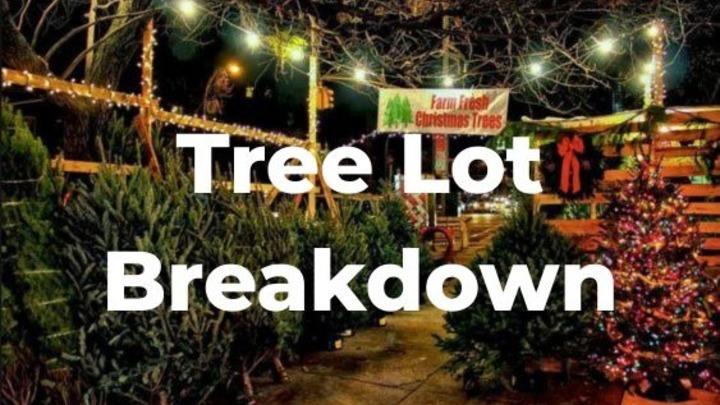 Tree Lot Cleanup Day logo