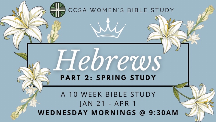 Women's Morning Study on Hebrews logo