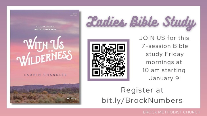 Ladies Friday Morning Bible Study logo