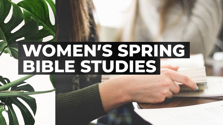 Women's Spring Bible Studies logo
