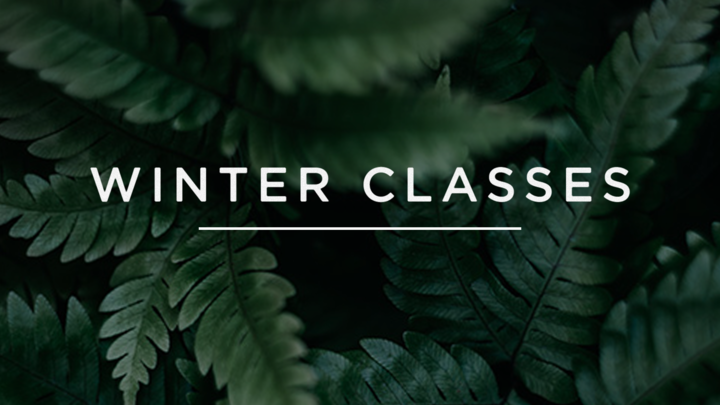 Systematic Theology II | Winter 2020 Class logo image