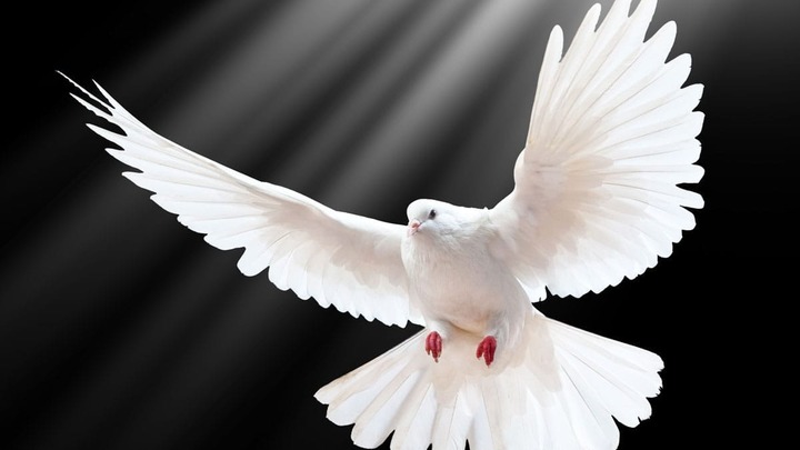 Worthy Warriors - Dr. David Jeremiah's God in You: Releasing the Power of the Holy Spirit in Your Life logo
