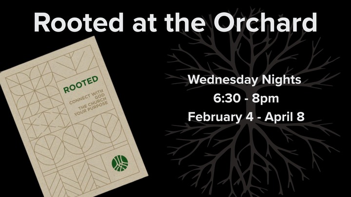 Rooted at the Orchard logo
