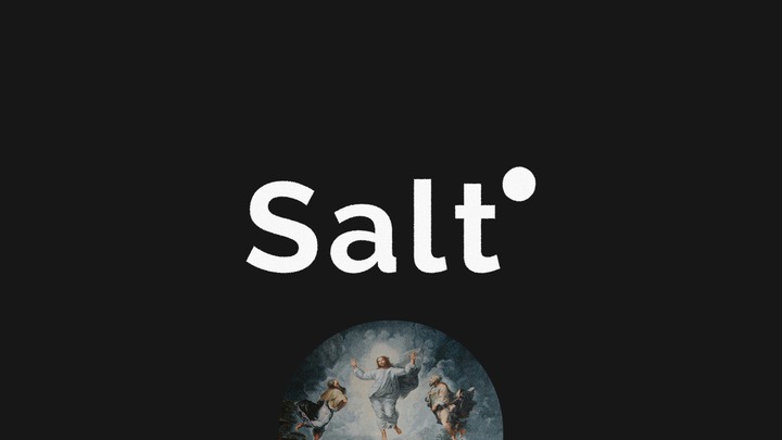 SALT logo