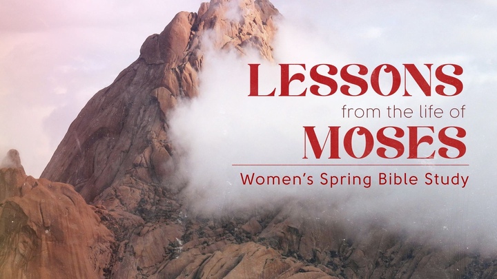 Women's Spring Bible Study - Evening logo