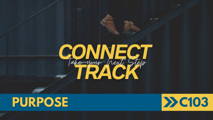 Connect Track 103- Purpose logo