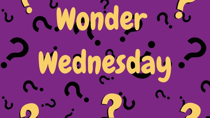 Wonder Wednesday 2026 logo