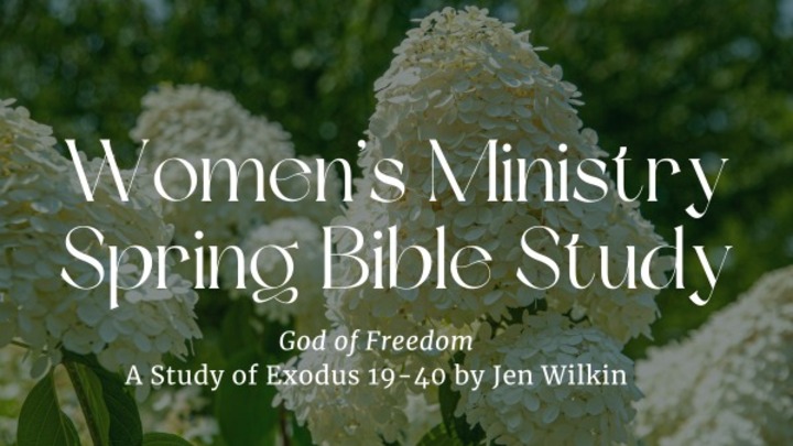 Women's Spring Bible Study logo