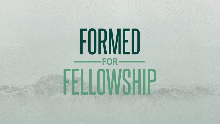 Women's Study :: Formed For Fellowship logo
